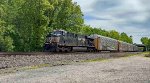 NS 7547 leads 11N.